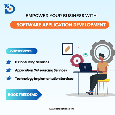 Software services in USA